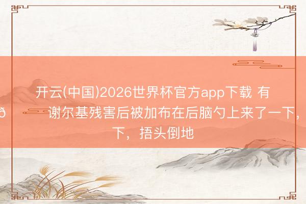 开云(中国)2026世界杯官方app下载 有点小手脚👀谢尔基残害后被加布在后脑勺上来了一下，捂头倒地