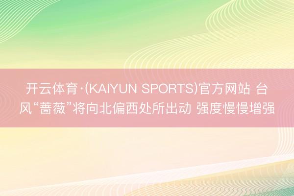 开云体育·(KAIYUN SPORTS)官方网站 台风“蔷薇”将向北偏西处所出动 强度慢慢增强