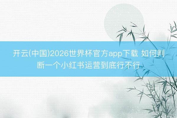 开云(中国)2026世界杯官方app下载 如何判断一个小红书运营到底行不行