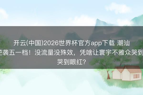 开云(中国)2026世界杯官方app下载 潮汕小片逆袭五一档！没流量没殊效，凭啥让寰宇不雅众哭到眼红？