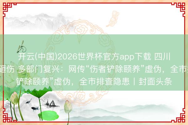 开云(中国)2026世界杯官方app下载 四川泸州3东说念主被树砸伤 多部门复兴：网传“伤者铲除颐养”虚伪，全市排查隐患丨封面头条